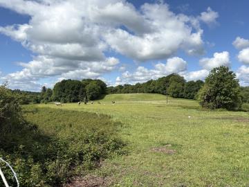6601_immo_berthou_coussac_bonneval_fermette_6_hectares_bois_pre_campagne_proche-village--43-