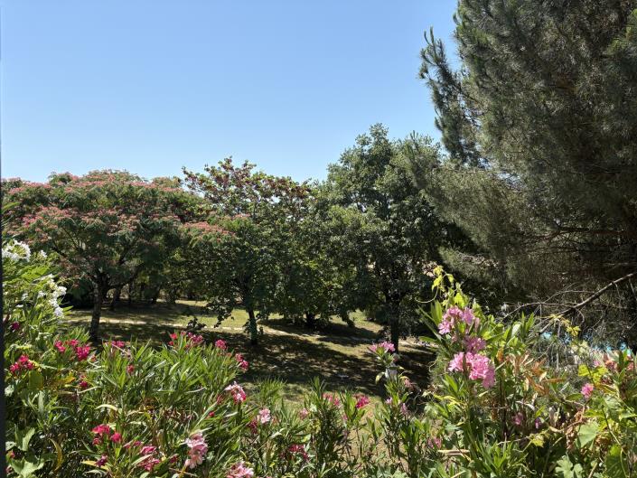 Image No.20-3 Bed Farmhouse for sale