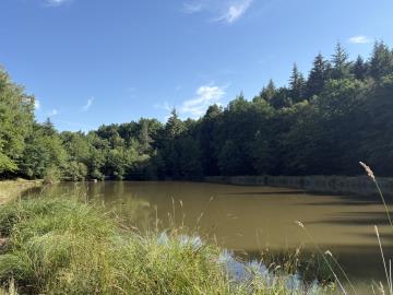 6630_immo_berthou_bussiere_galant_etang_terrain--2-