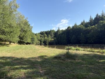 6630_immo_berthou_bussiere_galant_etang_terrain--3-