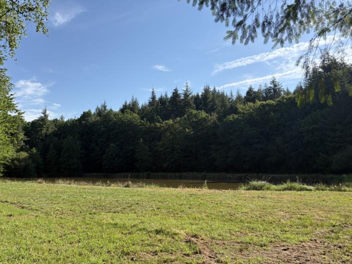 Image No.4-Land for sale