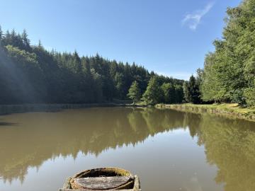 6630_immo_berthou_bussiere_galant_etang_terrain--9-