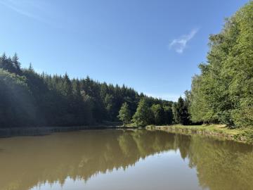 6630_immo_berthou_bussiere_galant_etang_terrain--10-