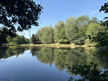 6630_immo_berthou_bussiere_galant_etang_terrain--12-