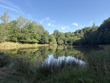 6630_immo_berthou_bussiere_galant_etang_terrain--15-