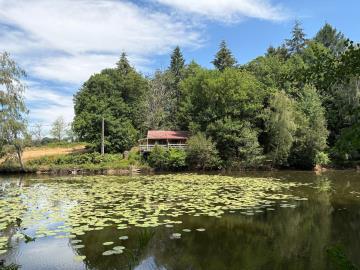 6585_immo_berthou_coussac_bonneval_chalet_etang_nature_calme--1-