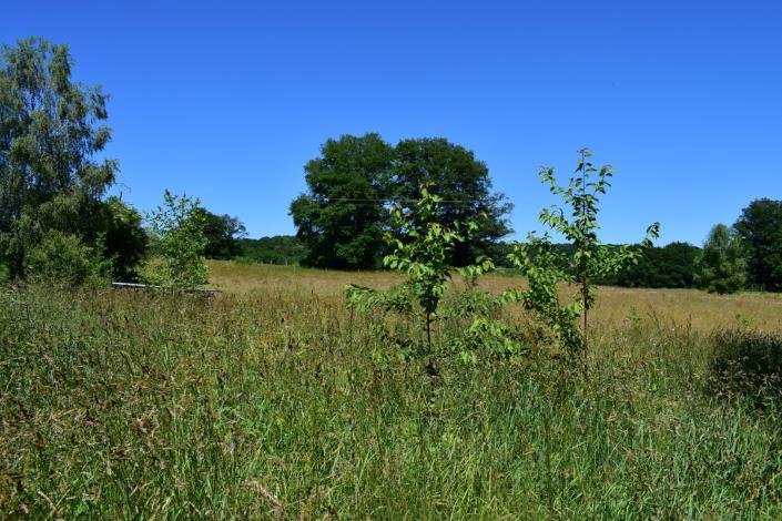 Image No.26-3 Bed Country House for sale