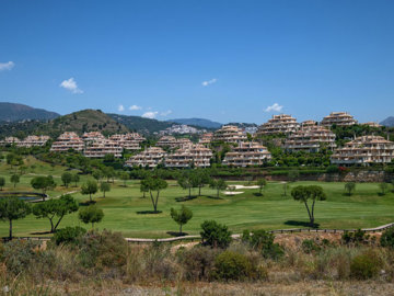 1 - Benahavis, Property