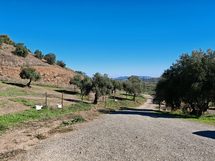 Image No.35-12 Bed Finca for sale