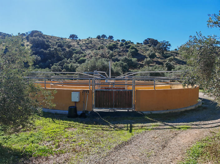 Image No.5-12 Bed Finca for sale