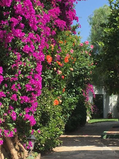 Image No.20-3 Bed Villa for sale