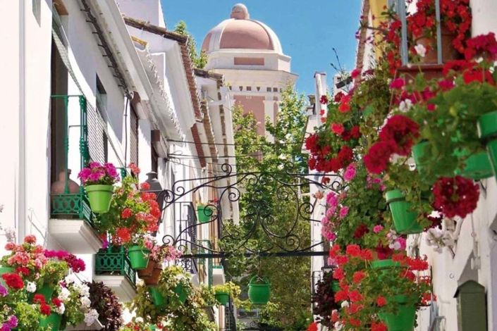 Image No.26-2 Bed Apartment for sale