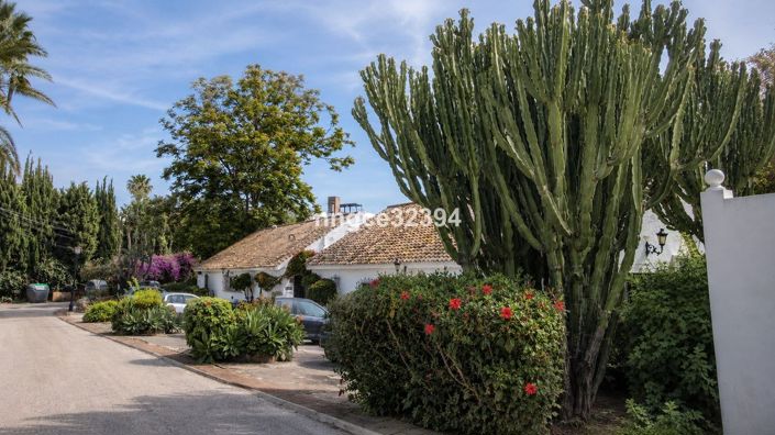 Image No.5-3 Bed Townhouse for sale