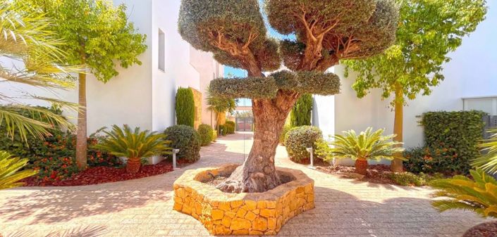 Image No.10-Villa de 2 chambres à vendre à Ciudad Quesada