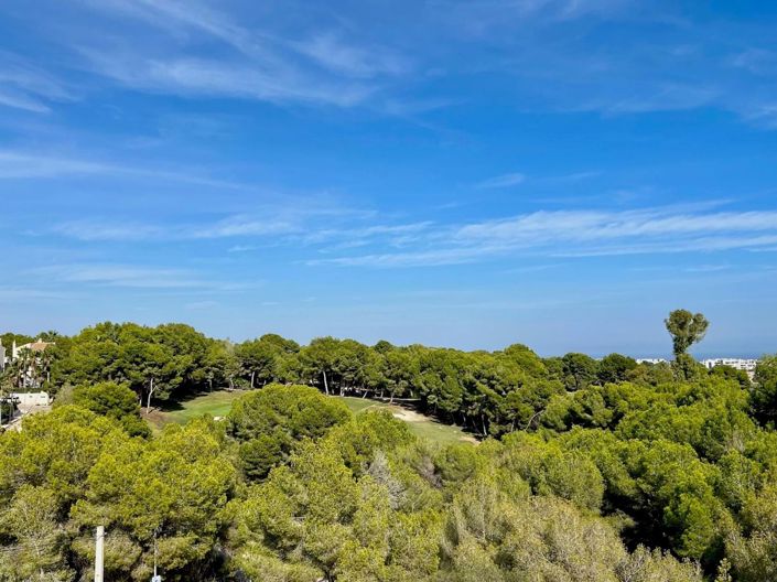 Image No.37-Maison de ville de 3 chambres à vendre à Villamartin