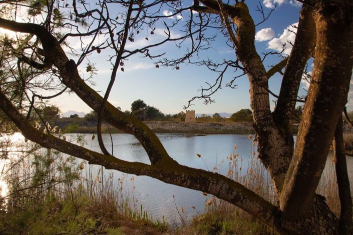 Image No.25-3 Bed Apartment for sale