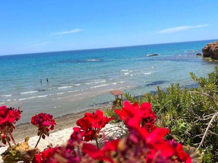 Image No.25-3 Bed Villa for sale