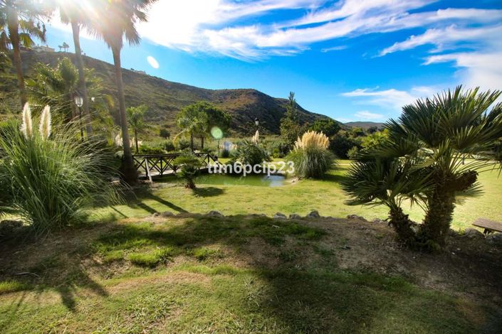 Image No.45-3 Bed Townhouse for sale