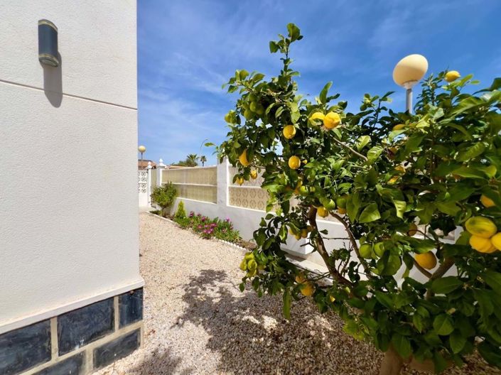 Image No.41-2 Bed Villa for sale