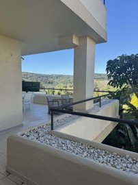 1447-521262-78d1f4f8b6655591b02d22fabb36a692d