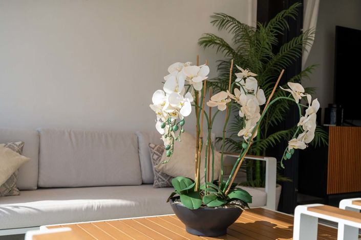 Image No.35-3 Bed Penthouse for sale