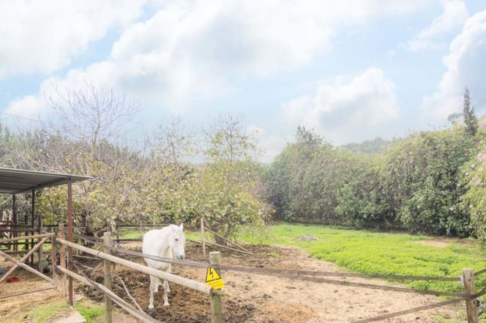 Image No.13-3 Bed Apartment for sale