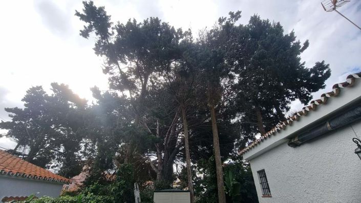 Image No.9-3 Bed Villa for sale