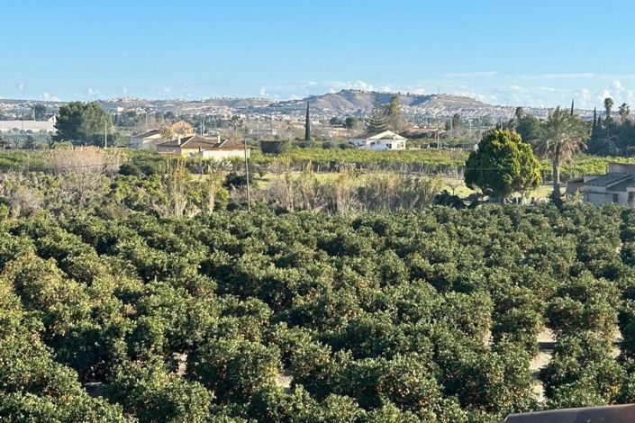 Image No.23-Villa de 3 chambres à vendre à Benijofar