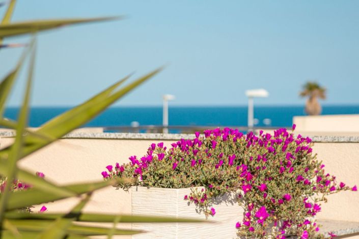 Image No.26-2 Bed Apartment for sale