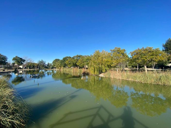 Image No.20-Villa de 2 chambres à vendre à Ciudad Quesada