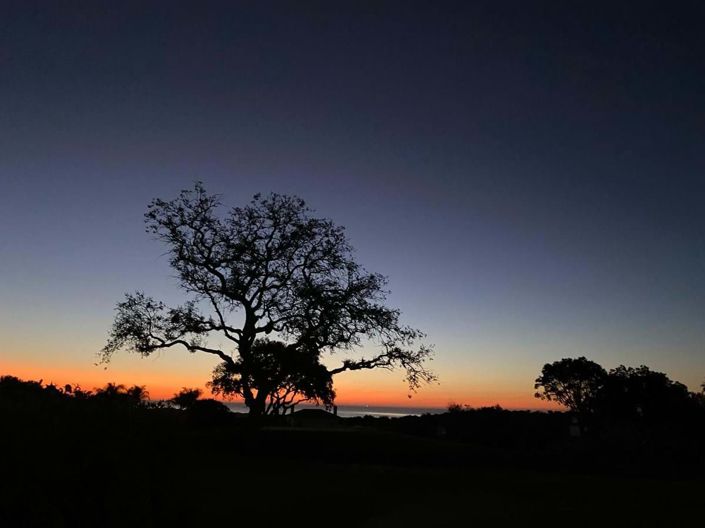 Image No.22-3 Bed Apartment for sale