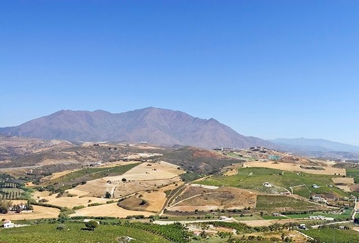 Image No.12-3 Bed Townhouse for sale