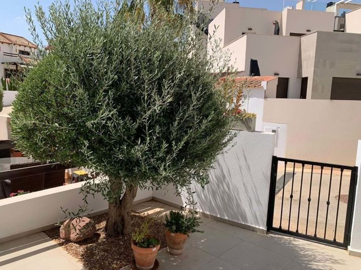 Image No.30-Villa de 3 chambres à vendre à Ciudad Quesada