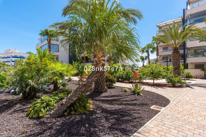 Image No.41-3 Bed Penthouse for sale