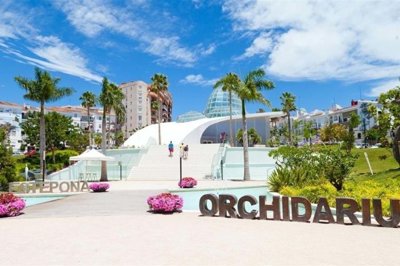 1447-234542-78d1f4f8b6655591b02d22fabb36a692d