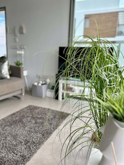 Image No.35-3 Bed Villa for sale