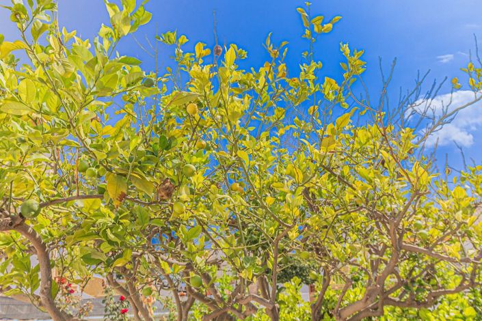 Image No.28-4 Bed Villa for sale