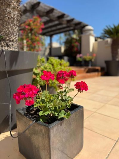 Image No.23-Appartement de 2 chambres à vendre à Los Alcázares