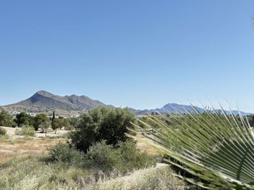 1447-632083-78d1f4f8b6655591b02d22fabb36a692d