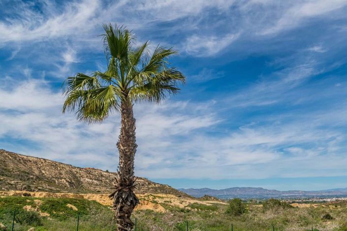 Image No.27-3 Bed Apartment for sale