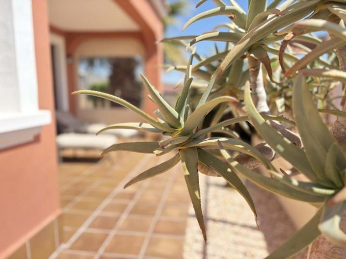 Image No.48-3 Bed Villa for sale