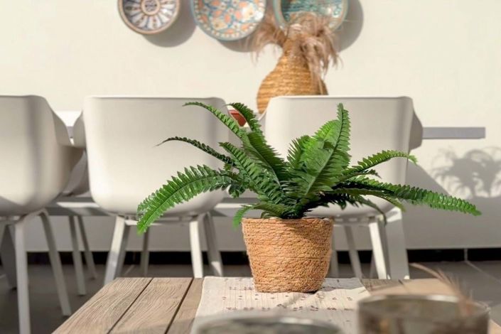 Image No.11-3 Bed Apartment for sale