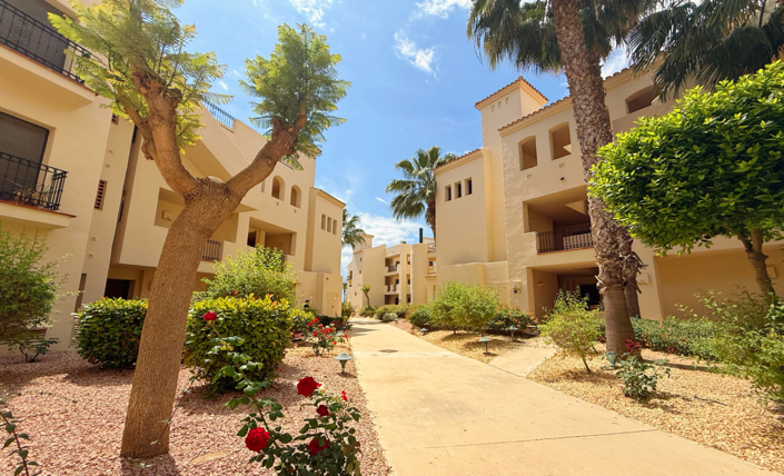 Image No.1-2 Bed Penthouse for sale