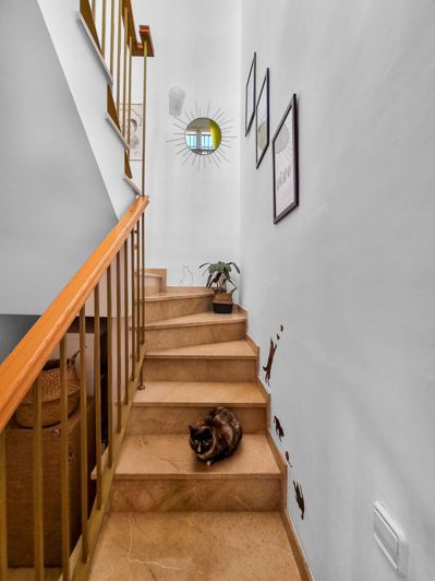 Image No.24-Penthouse de 3 chambres à vendre à La Duquesa