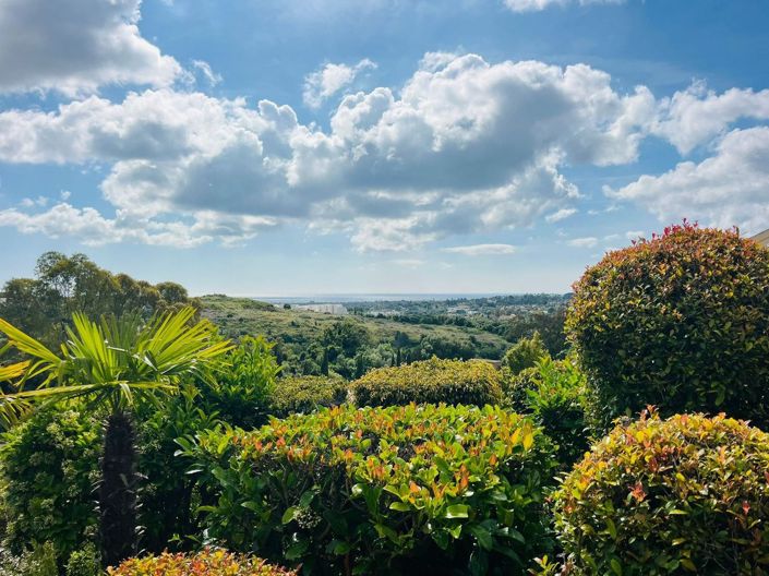 Image No.15-Jumelé de 3 chambres à vendre à Sotogrande playa