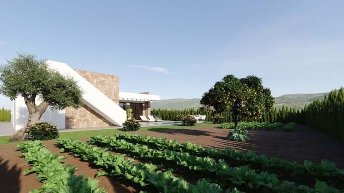 Image No.6-Appartement de 3 chambres à vendre à Balsicas