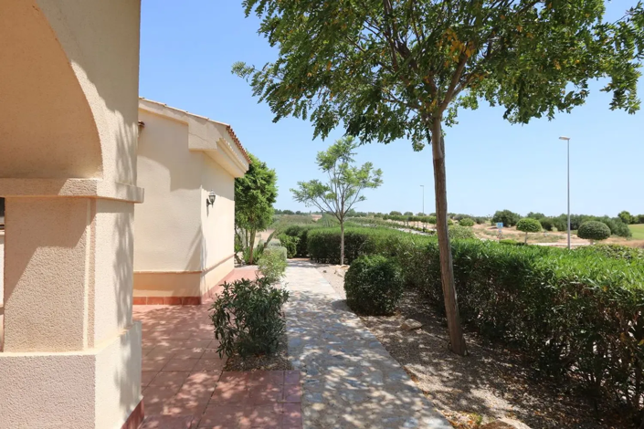 Image No.33-Appartement de 4 chambres à vendre à Balsicas