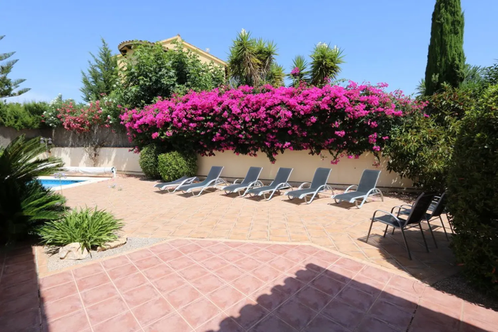 Image No.5-Appartement de 4 chambres à vendre à Balsicas