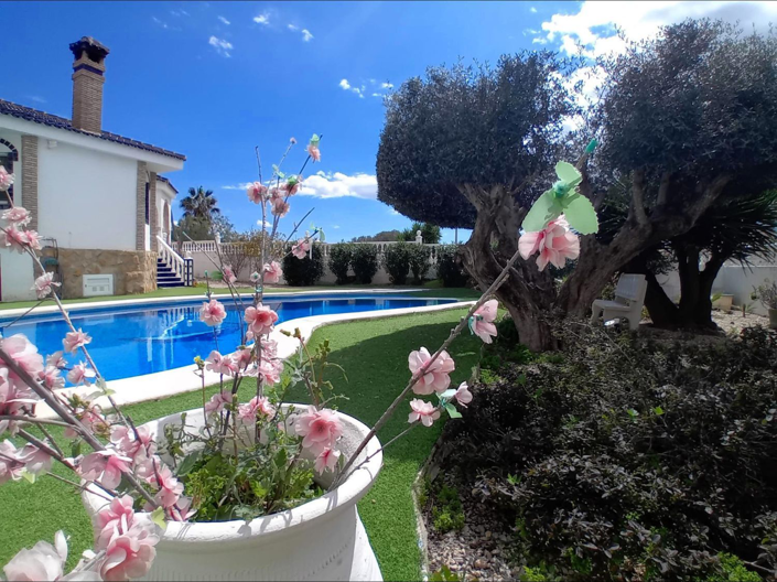 Image No.2-4 Bed Apartment for sale