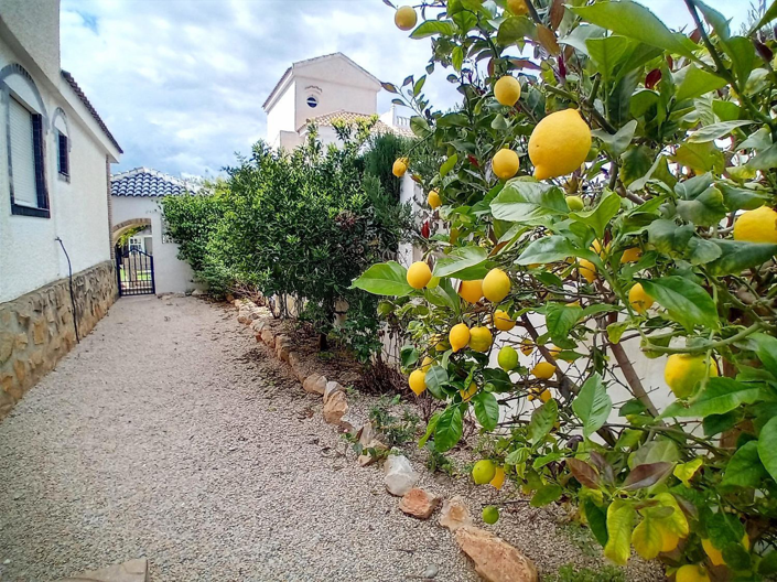 Image No.24-4 Bed Apartment for sale